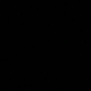 Meet your Posher, Raquel